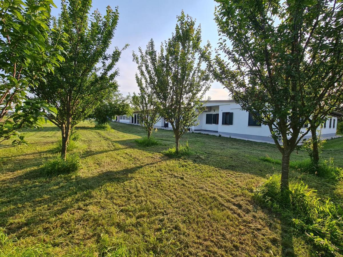 Agriturismo Ca Novak Venezia Villa Spinea Eksteriør bilde